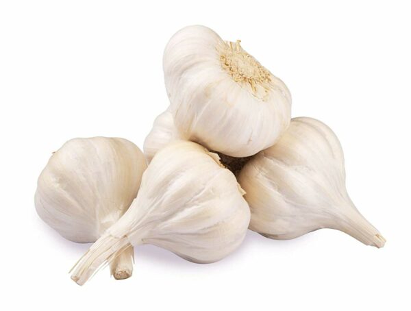 Garlic (Lehsoon)