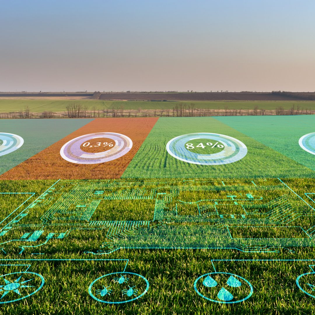 The concept of collecting data on humidity, temperature, illumination of acidity, fertilizers and pests without human intervention, the transmission of the obtained data and their analysis to increase the yield The concept of collecting data on humidity, temperature, illumination of acidity, fertilizers and pests without human intervention, the transmission of the obtained data and their analysis to increase the yield