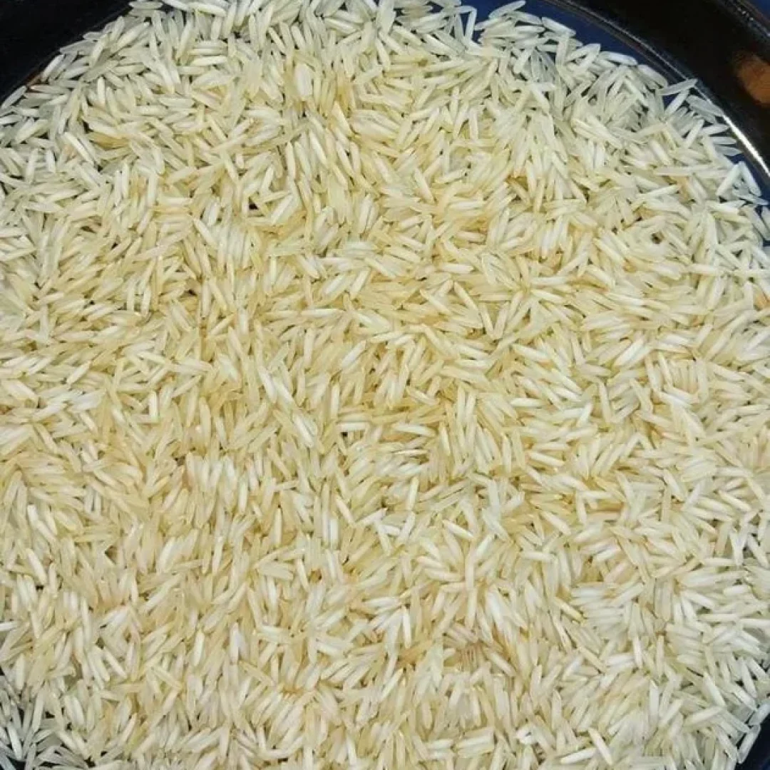 whatsapp-image-2022-11-21-at-10-54-53-1000x1000